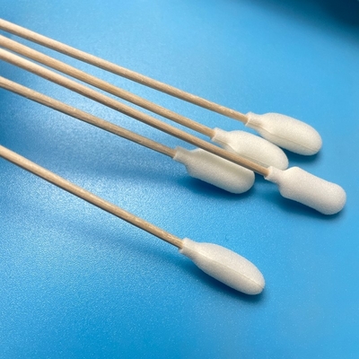 Schaumspitze Steril Einwegprobenstrich EO Sterilisiert mit Holzstäbchen