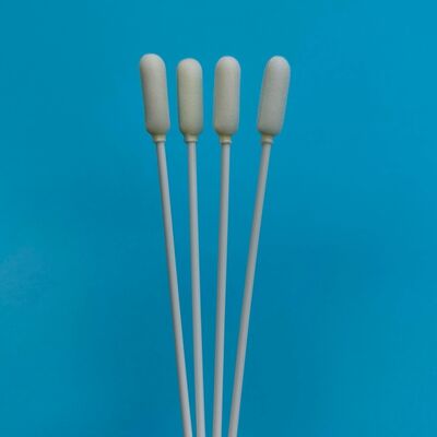 14cm Einweg-Lang-PP-Stab mit großem Schaumstoffkopf zur oralen Probenentnahme, steriler Tupfer für die Probenentnahme, Tupfer für die Influenza-Testentnahme
